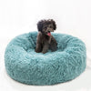 Macaron Round Dog Bed Photograp Washable Cat Small Doughnuts Dog House Super Soft Cotton Mats Sofa For Dog Chihuahua Dog Basket