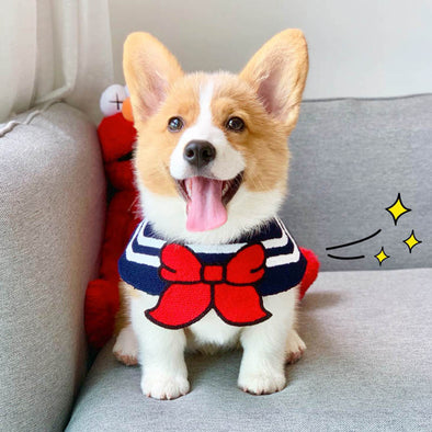 Pet Dog Accessories Dogs Cat Bowtie Cachorro Pug Dog Bandana Pet Supplies Accessories for Dogs Scarf Mascotas Perros Accesorios