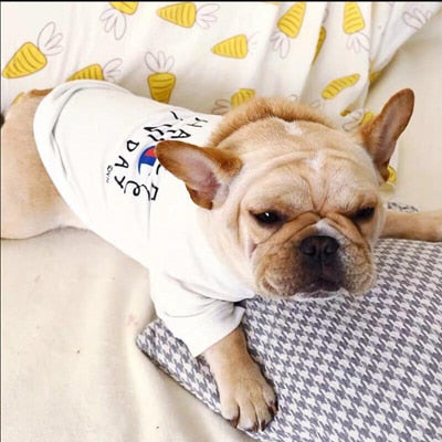 Dog Clothes New Arrivals Spring Summer Pet Dog T-shirt Cute Letter Puppy Vest Cotton Two Legs Pet Clothing Fo Small Pets XS-XL