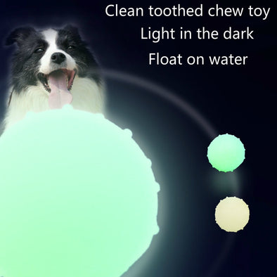 Dog Chew Toy for Small Large Puppy Luminous Tooth Cleaning Rubber Balls Toys Novel  Pet Training Interactive