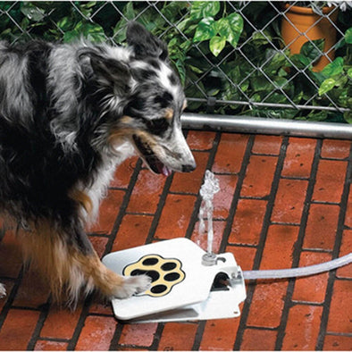 Dog Drinking Water Fountain Step on - Outdoor Auto Pet Water Dispenser for Fresh Water - Large or Small Dog Automatic Feeders