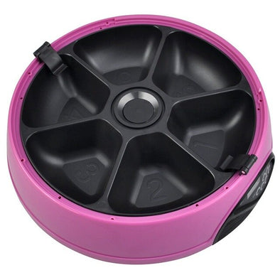 6 Days Automatic Pet Feeder Bowl 6 Meals - Cat or Dog Holoday Auto Dispencer Bowl with Voice Recorder