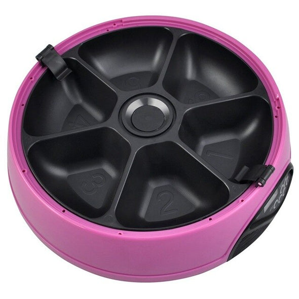 6 Days Automatic Pet Feeder Bowl 6 Meals - Cat or Dog Holoday Auto Dispencer Bowl with Voice Recorder