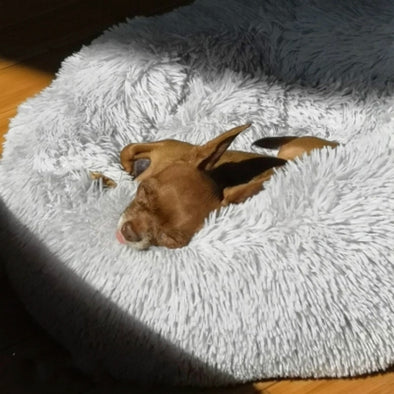 Macaron Round Dog Bed Photograp Washable Cat Small Doughnuts Dog House Super Soft Cotton Mats Sofa For Dog Chihuahua Dog Basket