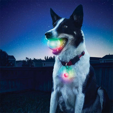 Led Lighting Glowing Rubber Pet Dog Ball Toy Outdoor Training Chew Bite Toys Pet Supply For Night Play Chew Interactive Toys
