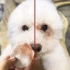 Adeeing 100PCS Pet Eye Wet Wipes Dedicated Pet Wet Tissue Napkin Dog Cat Hygienic Towelette Pet Eye Supplies