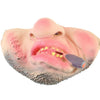 Halloween Scary Funny Dog Muzzle Harness Silicone Anti-bite Dog Muzzles Stop Bark Bite Mouth Mask Adjustable For Small Dog Pets