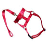 Dog Pet Dog Padded Head Collar Gentle Halter Leash Leader Stop Pulling Training Muzzles Tools